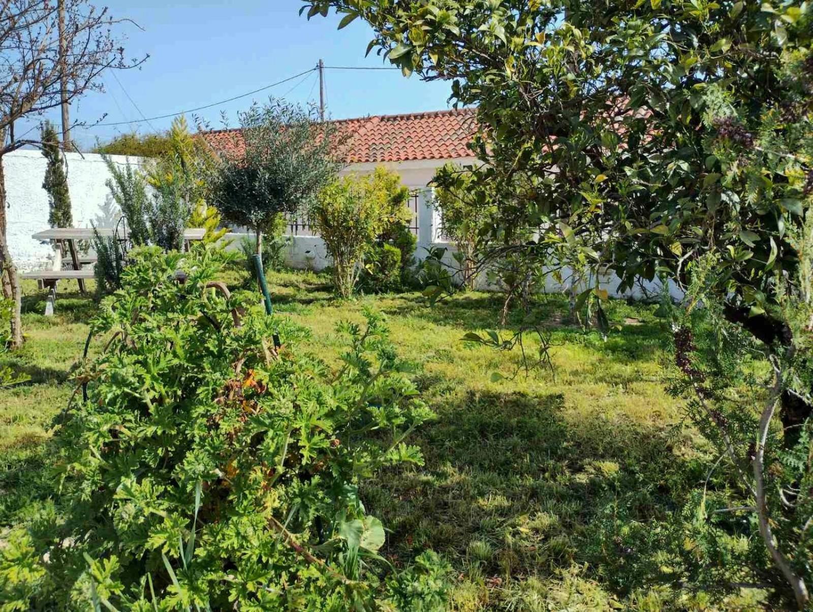 Nafplio Cottage-Grandma'S Yard Asíni Εξωτερικό φωτογραφία